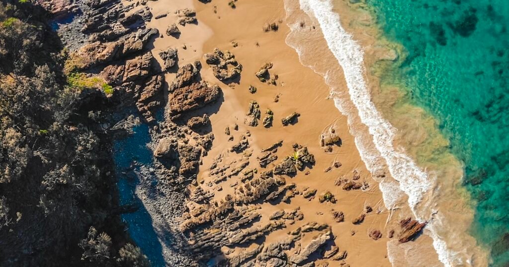 The Same Government That Jailed You for Growing Hemp in 1937 Begged You to Grow It in 1942